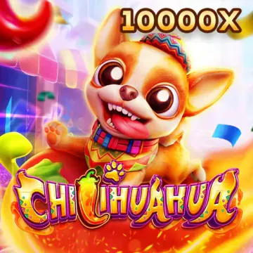 fachai_chihuahua_portrait
